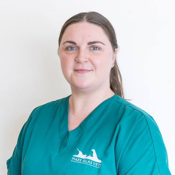 Amy Wilkinson - Maes Glas (Web)