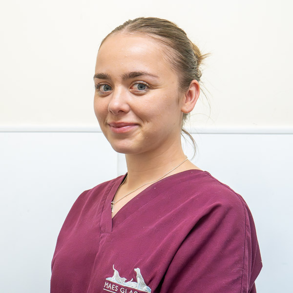 Cara Payne - Maes Glas (Web)