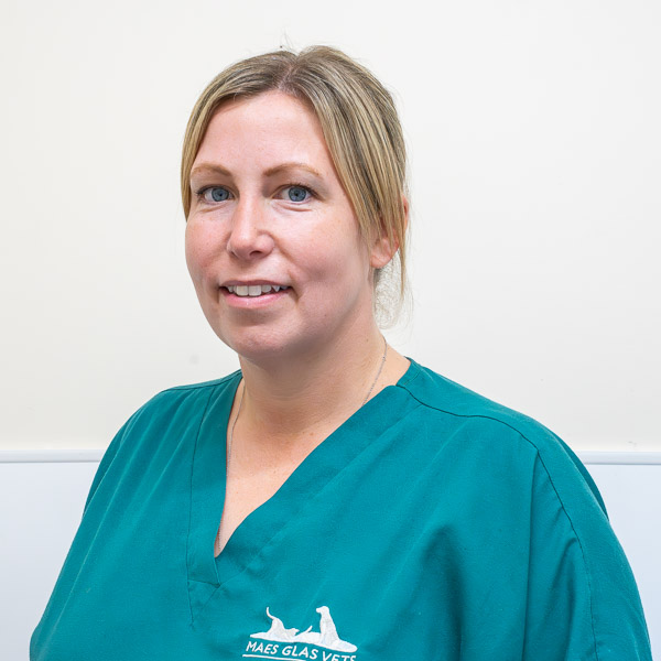 Carla Jones - Maes Glas (Web)