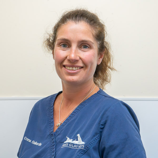 Emma Ballardie - Maes Glas (Web)