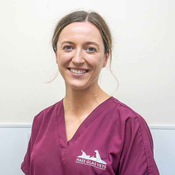 Kate Hermolle - Maes Glas (Web)