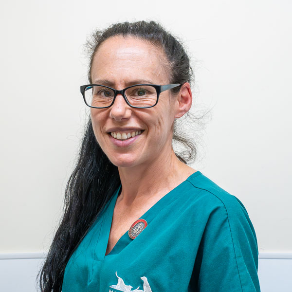 Lisa Cook - Maes Glas (Web)