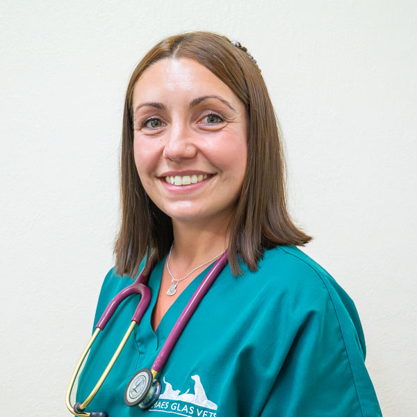 Sian Frowen - Maes Glas (Web)