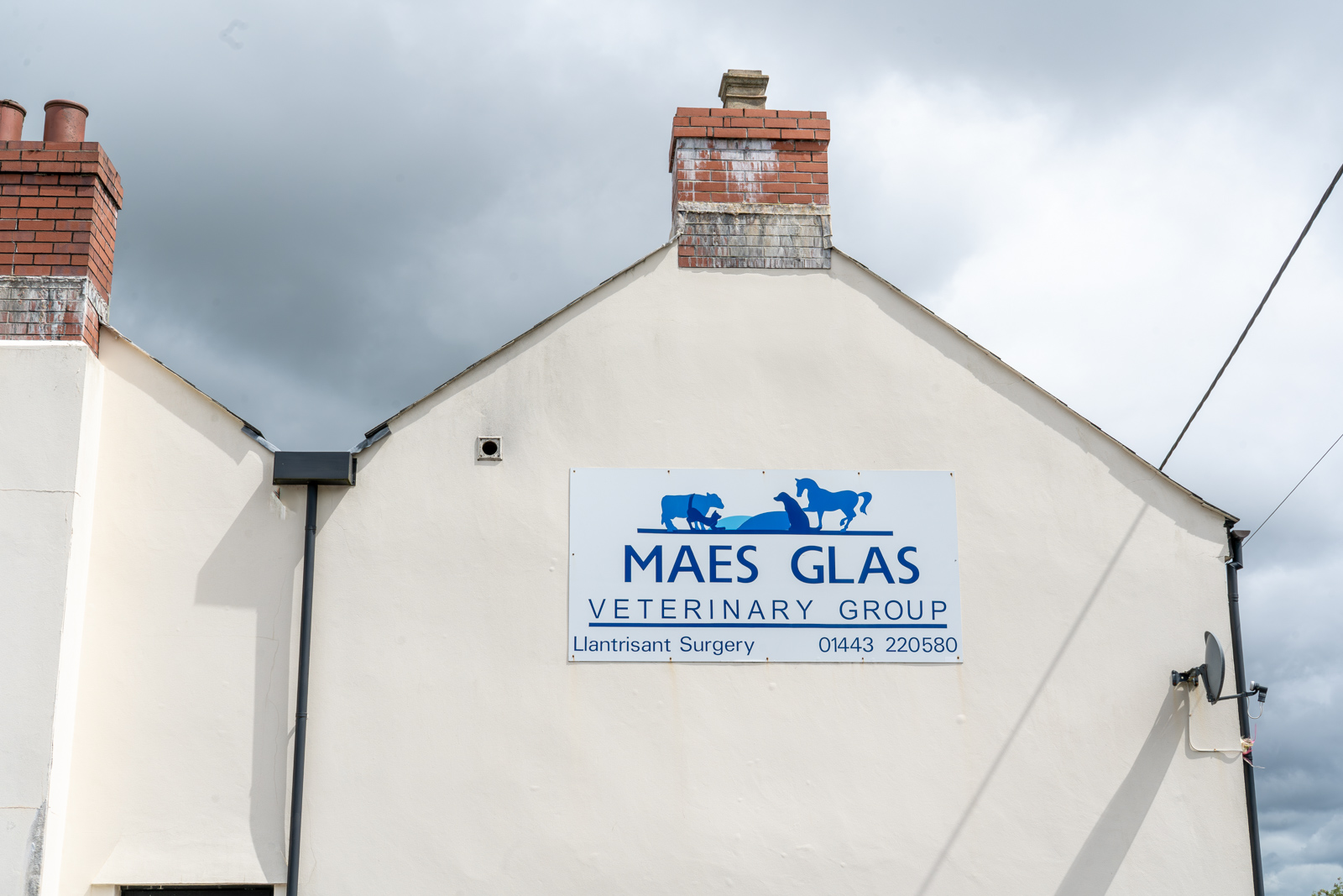 Maes Glas (Web) 169