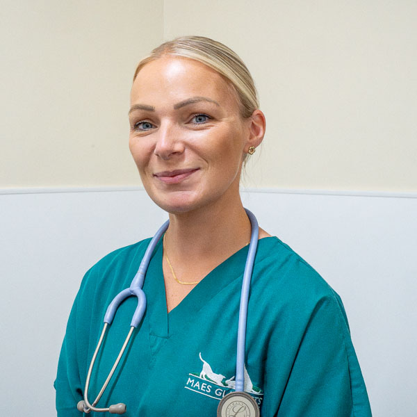 Abbie wilson - Maes Glas Vets (Web)