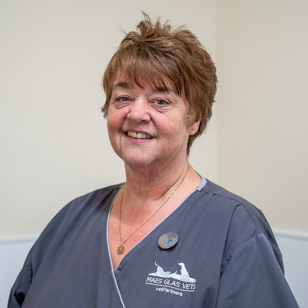 Jan Pool - Maes Glas Vets (Web)