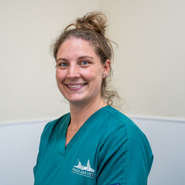 Katie Hearne - Maes Glas Vets (Web)