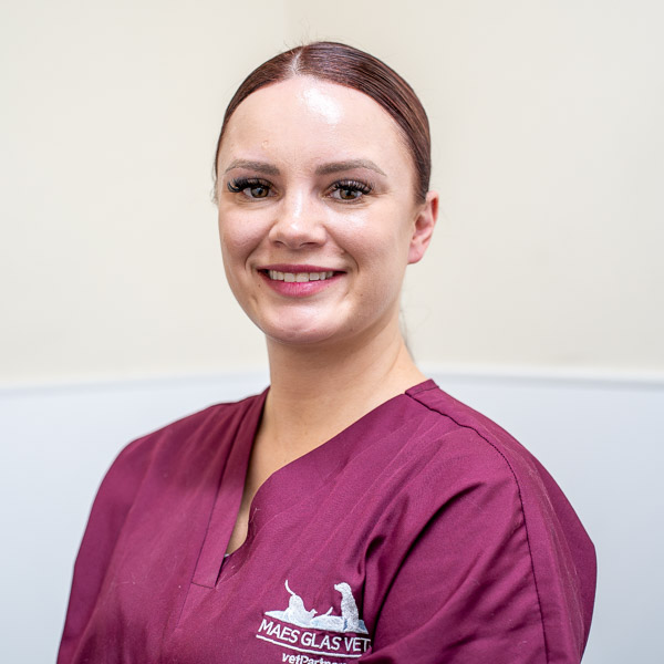 Liza Bergstrom - Maes Glas Vets (Web)