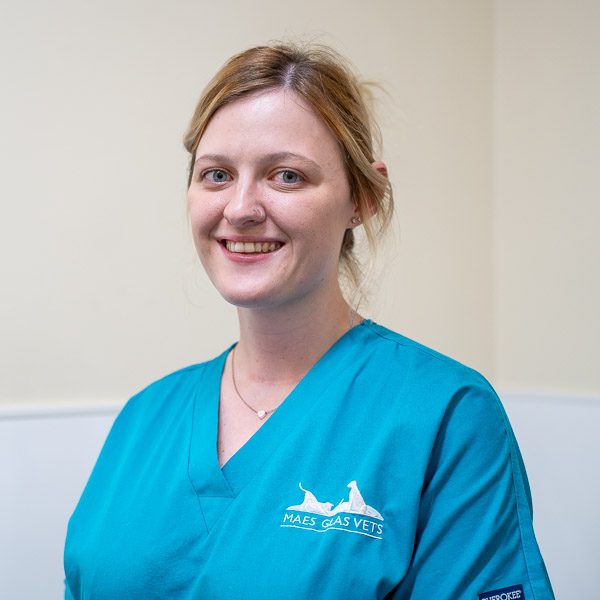 Mendii Jones - Maes Glas Vets (Web)