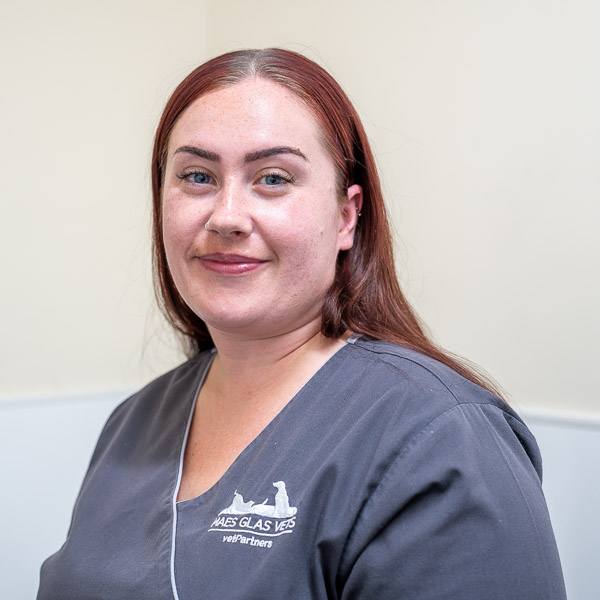 Mercedes Banfield - Maes Glas Vets (Web)