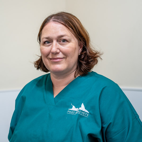 Rhiannon Chamberlain - Maes Glas Vets (Web)