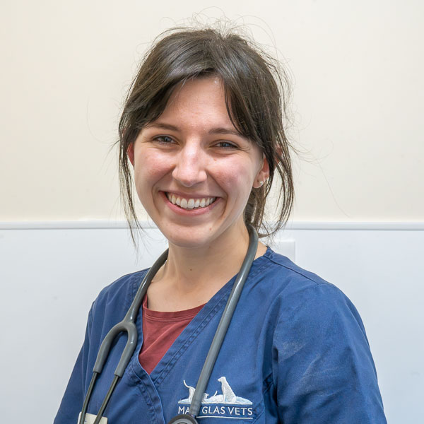 Aimee Hesketh - Maes Glas (Web)