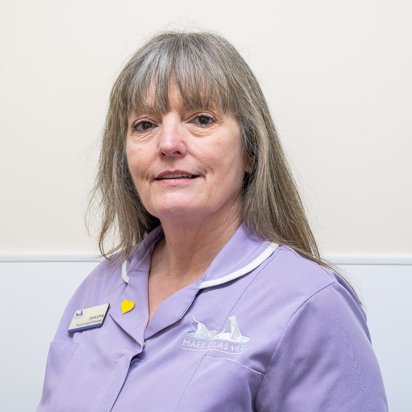 Jaynes Johns - Maes Glas (Web)