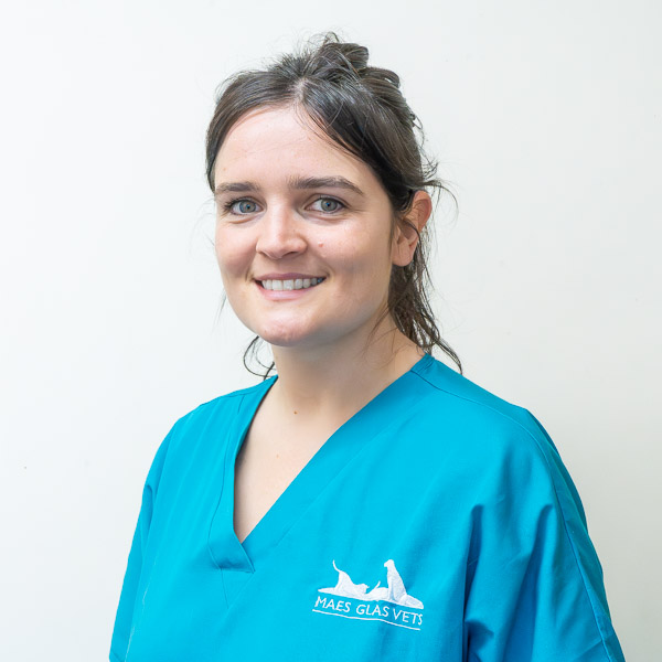 Kayleigh Dacey - Maes Glas (Web)-3