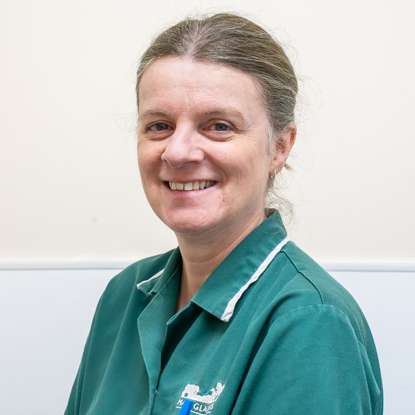 Melanie Wilson - Maes Glas (Web)